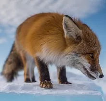 ополнительное фото тура 