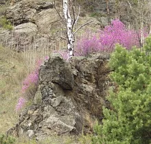 ополнительное фото тура 