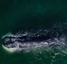 ополнительное фото тура 