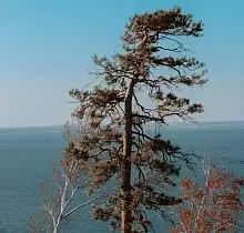 ополнительное фото тура 