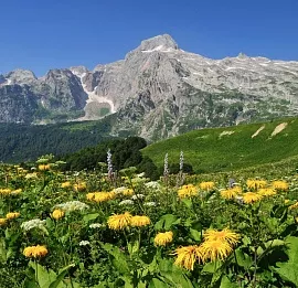 Тур Горная Адыгея