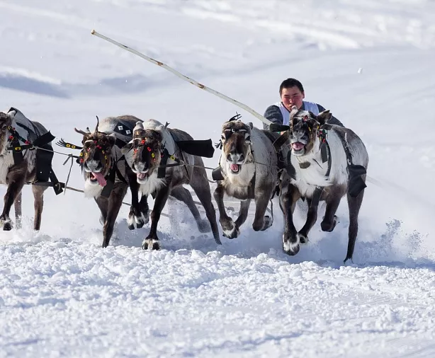 Изображение статьи День Оленевода, Салехард Туры России
