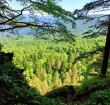 ополнительное фото тура 