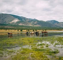 ополнительное фото тура 