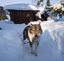 Место проживания в туре 