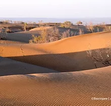 ополнительное фото тура 