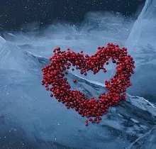 ополнительное фото тура 