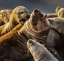 ополнительное фото тура 