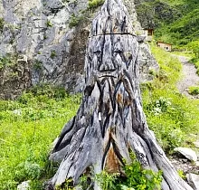 ополнительное фото тура 