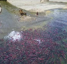 ополнительное фото тура 