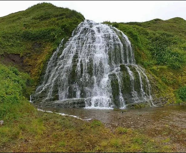 Изображение статьи Экспедиция на Командорские Острова: личный опыт посещения Туры России
