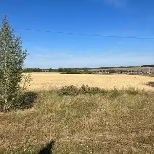 Фото отзыва