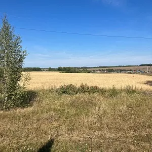 Фото отзыва