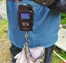 ополнительное фото тура 