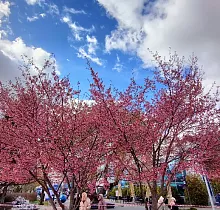 ополнительное фото тура 