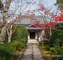 Фото дня 11 тура ПОЛНЫЙ ТУР ПО ЯПОНИИ 15 ДНЕЙ