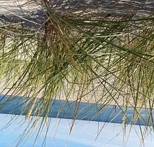 ополнительное фото тура 