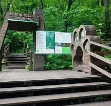 Фото дня 2 тура Заповедные истории: леопард, ларги и море