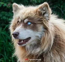 ополнительное фото тура 