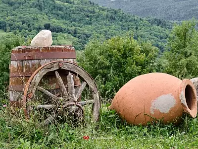 Южная Осетия