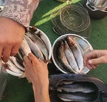 ополнительное фото тура 