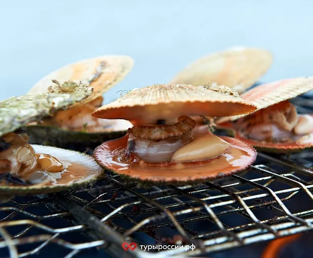 Изображение статьи Туристический маршрут на Полуостров Средний и Рыбачий – как добраться и что посмотреть Туры России