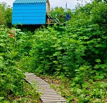 Фото дня 1 тура Рыбалка на Камчатке на Кету и горбушу!