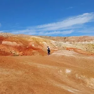 Фото отзыва