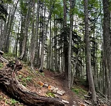 ополнительное фото тура 