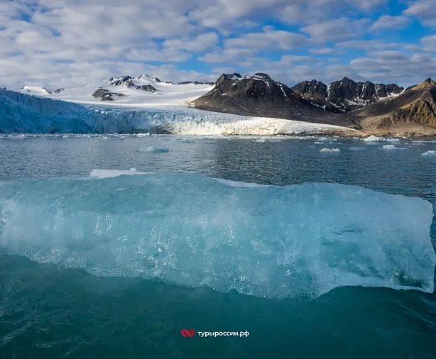 Изображение статьи Где в российской Арктике можно увидеть моржей? Туры России