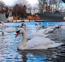 ополнительное фото тура