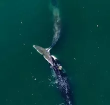 ополнительное фото тура 