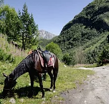 ополнительное фото тура 