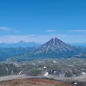 Фото отзыва