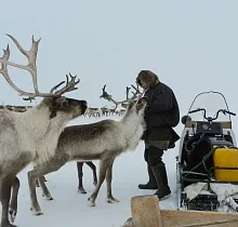 ополнительное фото тура 