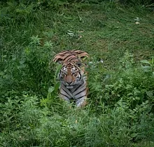 ополнительное фото тура 