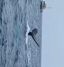 ополнительное фото тура 