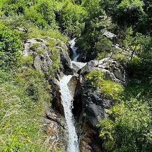 Фото отзыва