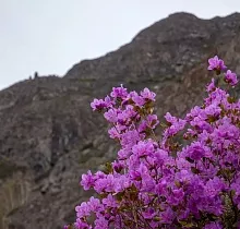 ополнительное фото тура 