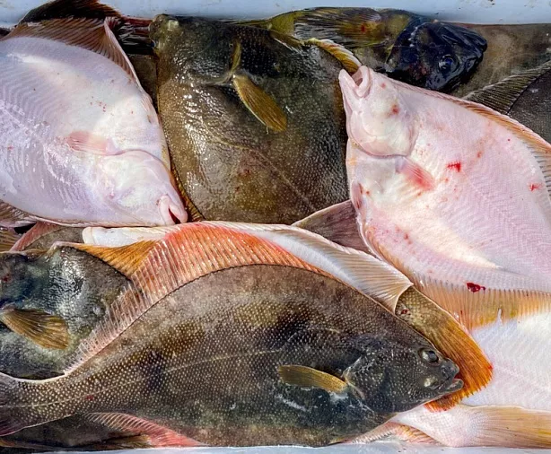 Изображение статьи Магадан: рыбалка в Охотском море 1 день Туры России