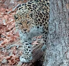 ополнительное фото тура 