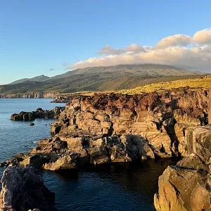 Фото отзыва