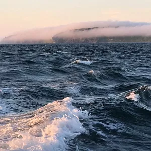 Фото отзыва