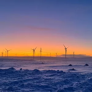 Фото отзыва