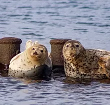 ополнительное фото тура 