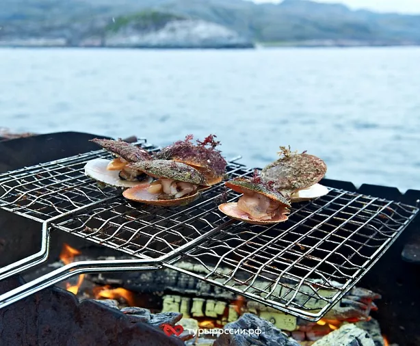 Изображение статьи Отдых в Териберке: как добраться, где жить, что посмотреть Туры России