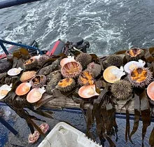 ополнительное фото тура