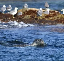 ополнительное фото тура 
