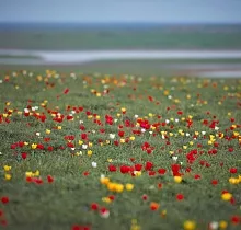 ополнительное фото тура