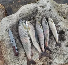 ополнительное фото тура 